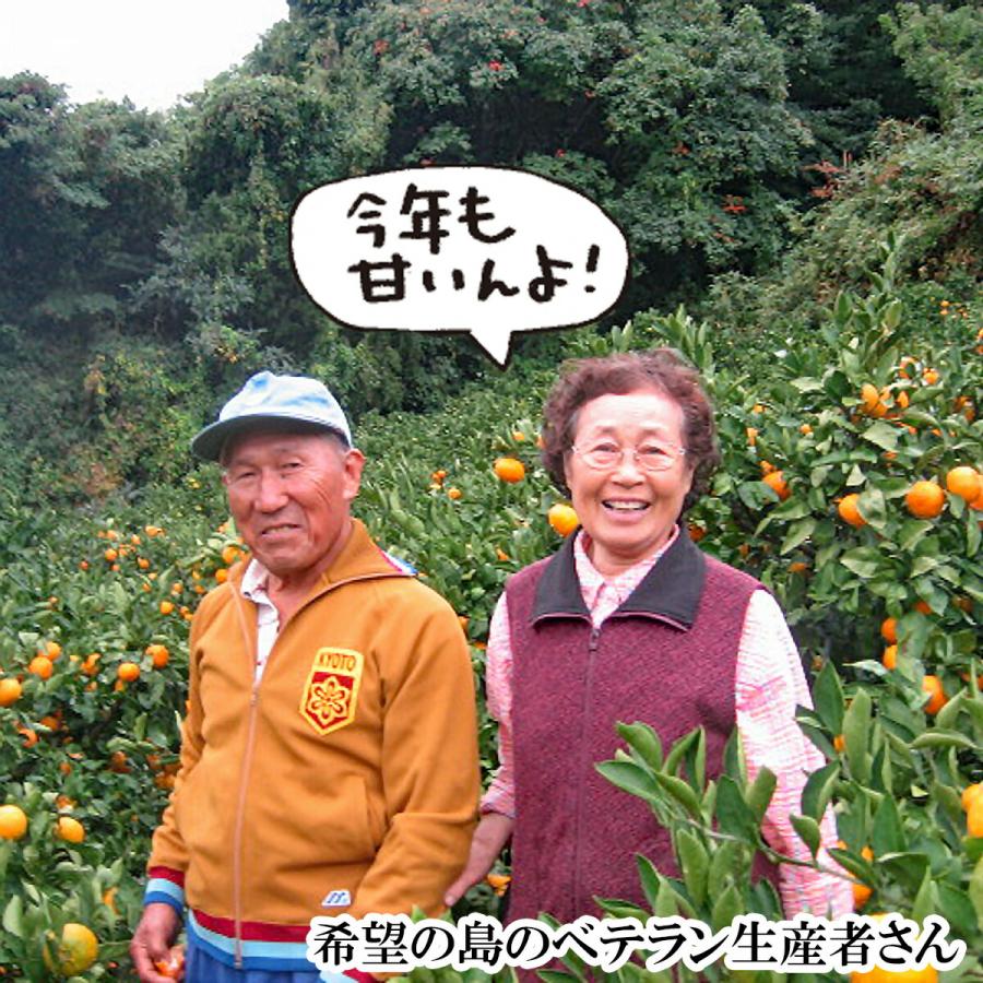 中島産 みかん 甘平 2kg 中島甘平 かんぺい 贈答用 特選品 大玉サイズ