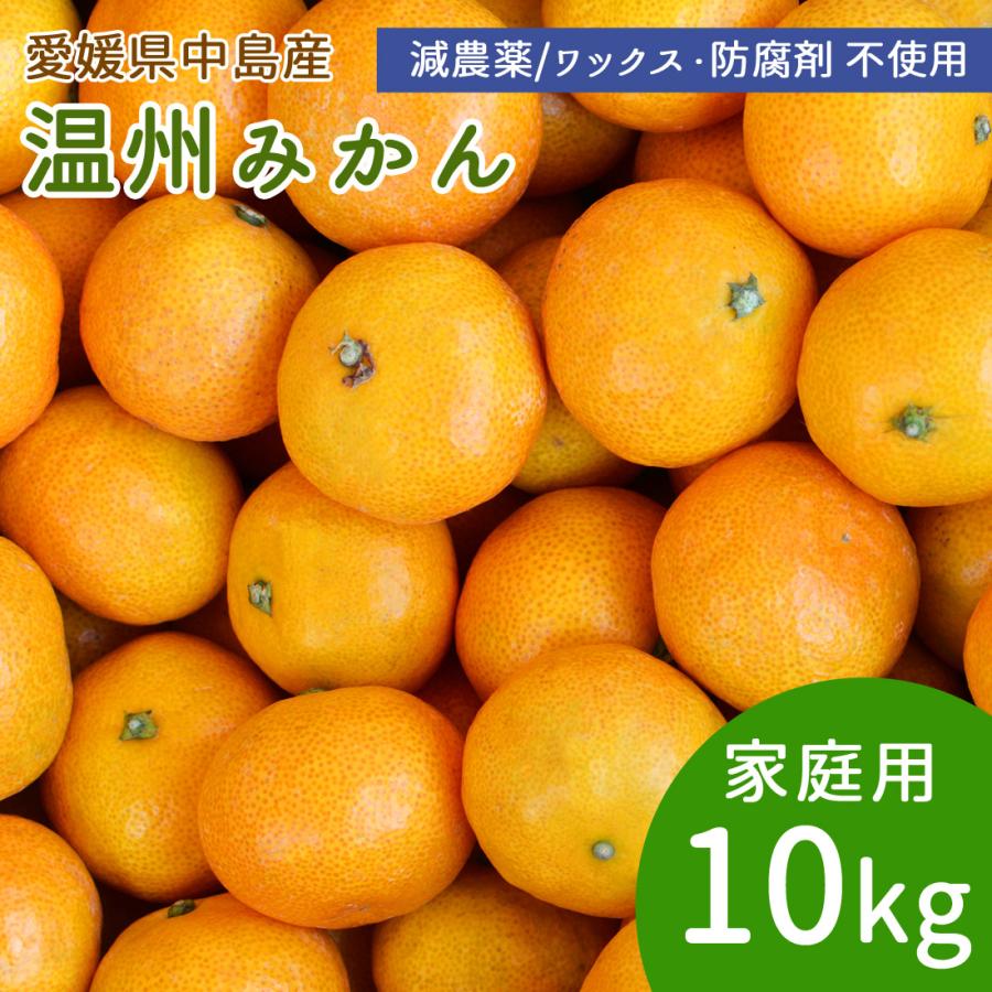 産地直送 温州みかん 甘小粒 10kg 120〜160個 家庭用 小玉 S・2Sサイズ