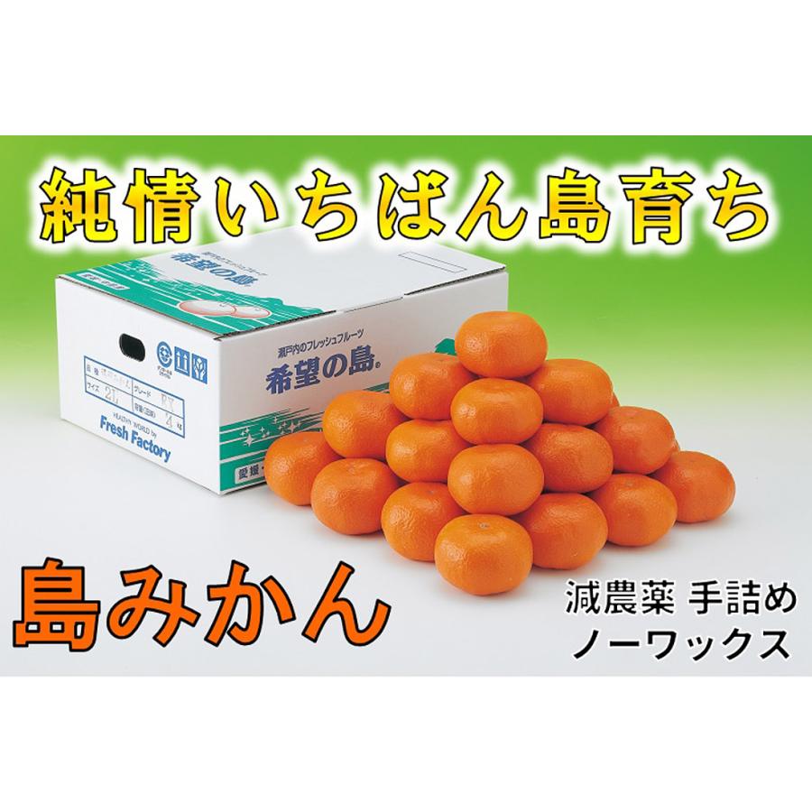 産地直送 温州みかん 甘小粒 10kg 120〜160個 家庭用 小玉 S・2Sサイズ