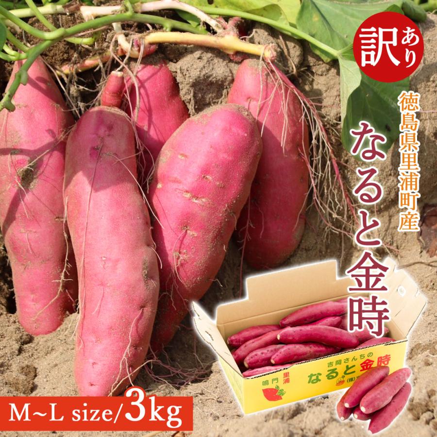 訳あり さつま芋 鳴門金時 洗い 3kg M Lサイズ 徳島県 鳴門 里浦産