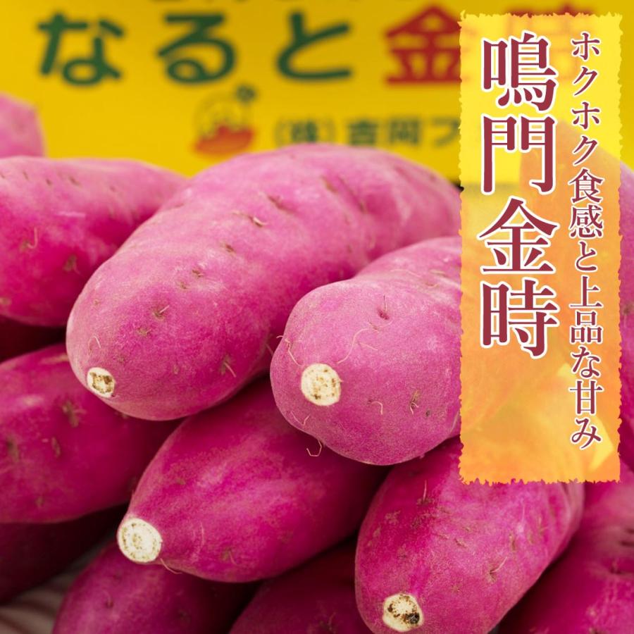 さつま芋 鳴門金時 秀品 土付き 5kg 2Lサイズ 徳島県 鳴門 里浦