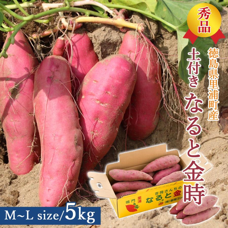 さつま芋 鳴門金時 秀品 土付き 5kg M Lサイズ 徳島県 鳴門 里浦産