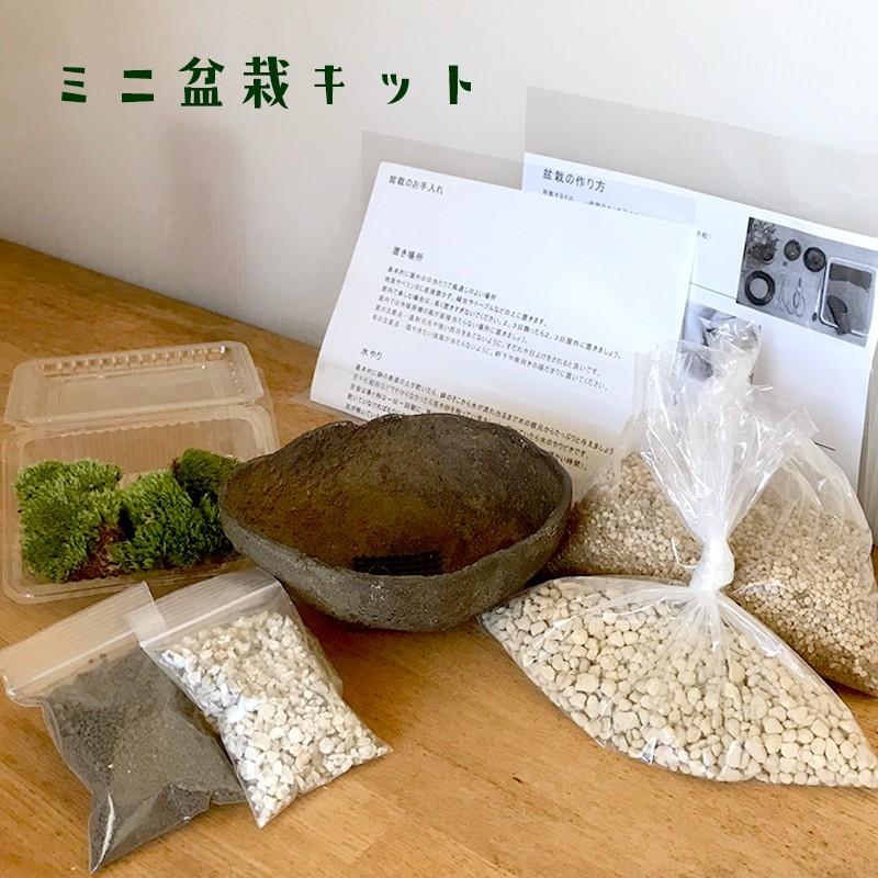 盆栽キット 植え替え用材料 くらま岩鉢 盆栽 作り方つき こけ コケ 苔