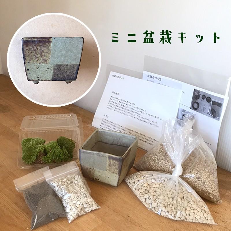 最高級 盆栽作りや盆栽の植え替えにピッタリのキット 川名萌子 創作角鉢 こけ コケ 苔 ぼんさい 盆栽 Aynaelda Com