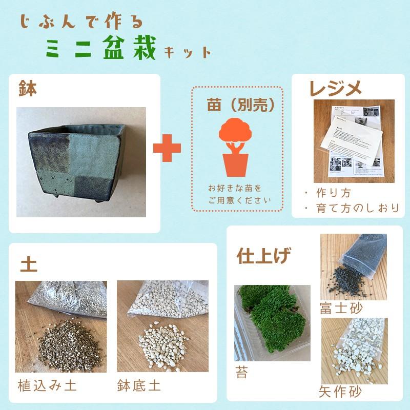 最高級 盆栽作りや盆栽の植え替えにピッタリのキット 川名萌子 創作角鉢 こけ コケ 苔 ぼんさい 盆栽 Aynaelda Com