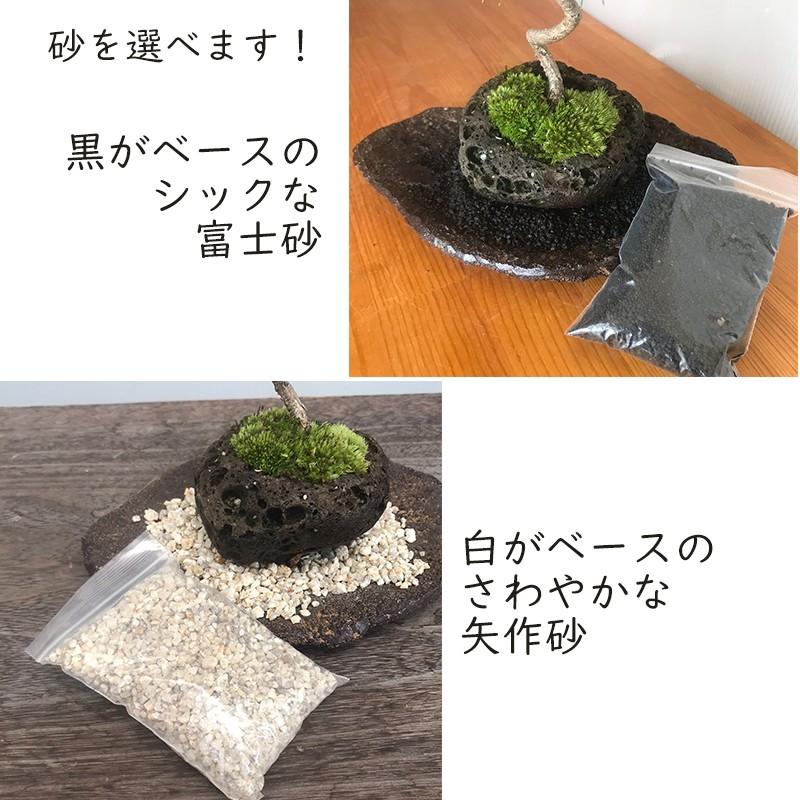 日本を代表する松を盆栽に 黒松 くろまつ の盆栽 軽石鉢 くらま岩器セット クロマツ Bonkurokaru01 みどり屋 和草 にこぐさ 通販 Yahoo ショッピング