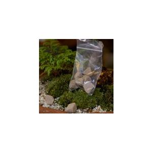 bobioヤマモミジ 送料無料 山紅葉 ヤマモミジ 盆栽 黒陶器鉢 下皿セット モミジ