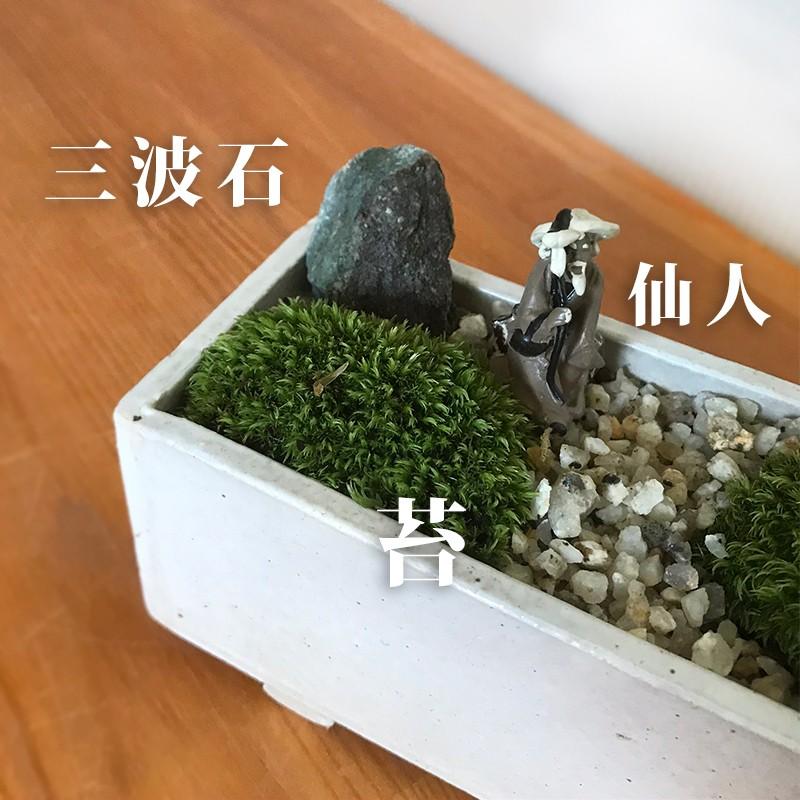 送料無料 ヤマモミジ 縮景盆栽 鉢 万古焼 創作 長方角鉢 紅葉 モミジ