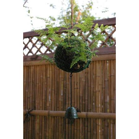 苔玉 盆栽 涼しげな葉を茂らせ 夏の風情を楽しませてくれます つりしのぶ 風鈴付 Koke1766 みどり屋 和草 にこぐさ 通販 Yahoo ショッピング
