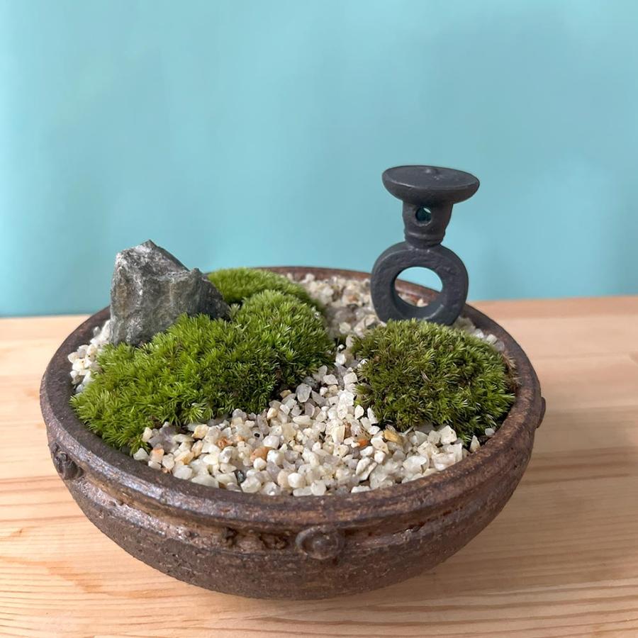小さな世界で雄大な景色を苔盆栽 憧れの 古都の趣きある神社の風景 信楽焼茶鉢 苔 2021年製 コケ こけ