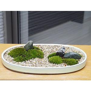 小さな世界 雄大な景色 苔盆栽 こけぼんさい 和鉢 苔 こけ コケ