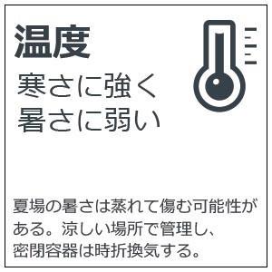 小さな世界で雄大な景色を苔盆栽 千本鳥居の情景 くらま岩盆栽変形鉢 苔 こけ コケ Kokebonsaitorii6 みどり屋 和草 にこぐさ 通販 Yahoo ショッピング