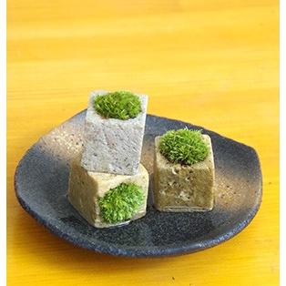 つんだり ならべたり ちいさな苔 苔盆栽 こけキューブ 3個セット 黒 
