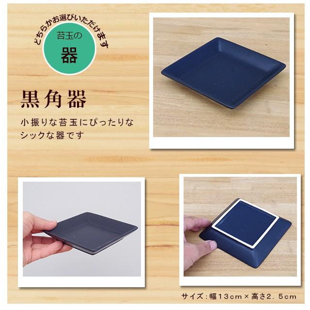 苔玉 南天の苔玉 黒備前器 セット 南天 ナンテン 縁起物 難を転ずる