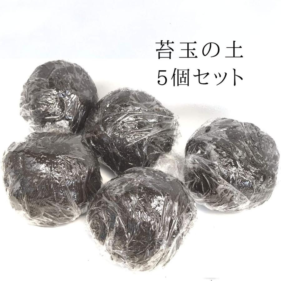 苔玉づくり 苔玉の土 5個セット こけだま こけ玉  土 ケト土  苔玉作り（Yahoo!・みどり屋 和草(にこぐさ)）