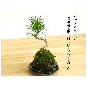 苔玉器 黒備前器 苔玉 飾る 器 皿｜midoriyanicogusa｜07