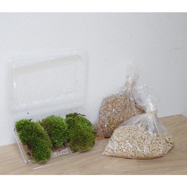 驚きの値段 盆栽作りや植え替えにはこのセット 植え込み用土 鉢底土 ヤマゴケセット 盆栽 苔 こけ コケ
