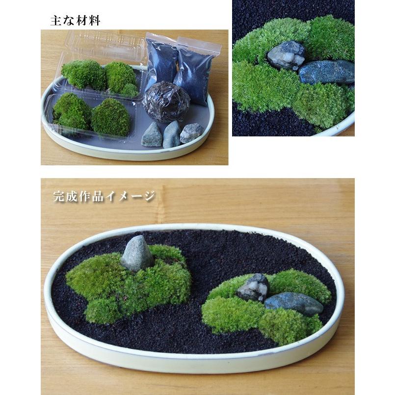 苔が主役 苔盆栽 材料 すべてお届けします こけぼんさい キット 苔が主役 苔盆栽 材料 すべてお届けします こけぼんさい キット
