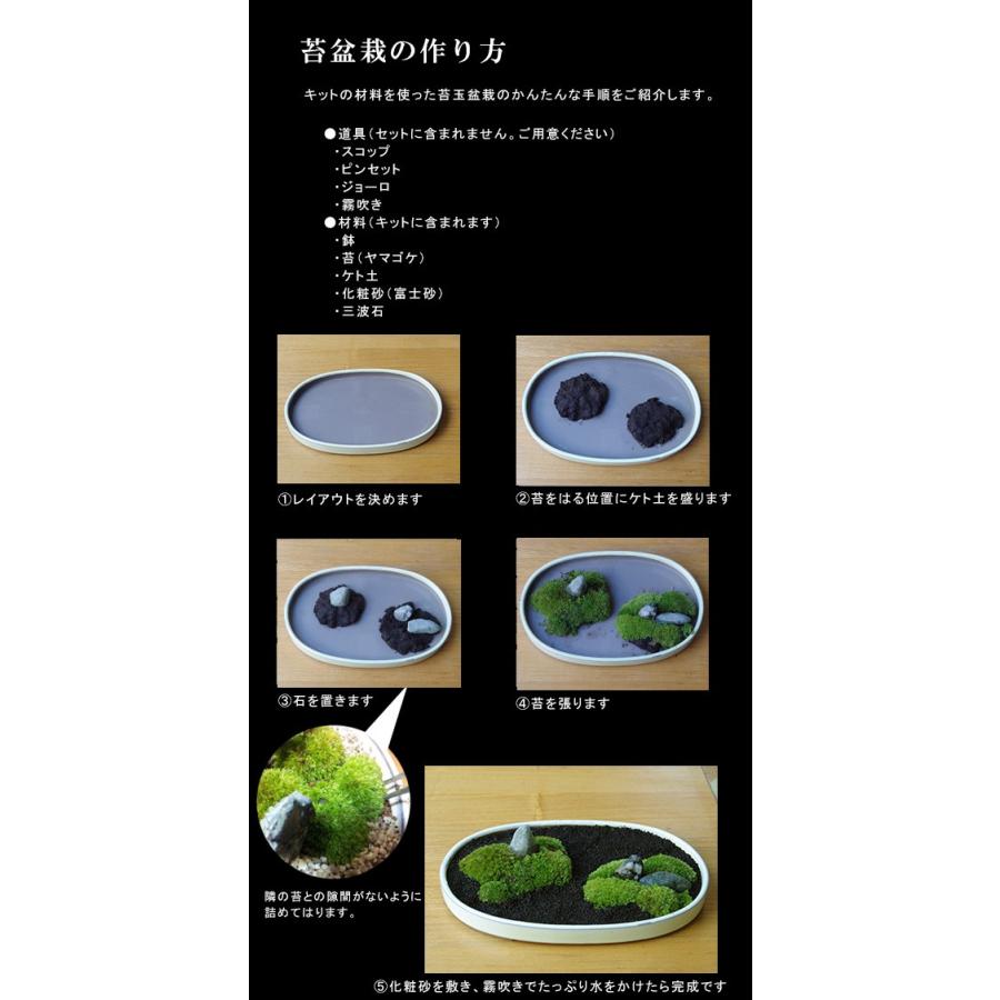 苔が主役 苔盆栽 材料 すべてお届けします こけぼんさい キット 苔が主役 苔盆栽 材料 すべてお届けします こけぼんさい キット