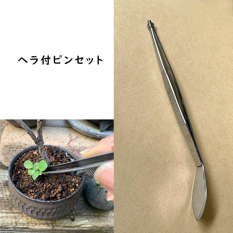 盆栽 メンテナンス お手入れ 初めてセット 剪定ばさみ ヘラ付 