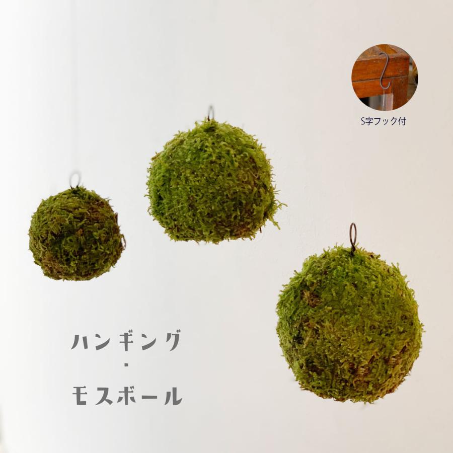 苔玉 盆栽 吊るしたり 置いたり ふんわりとやさしい苔を飾ってください Moss Ball モスボール Mサイズ Mossballm みどり屋 和草 にこぐさ 通販 Yahoo ショッピング