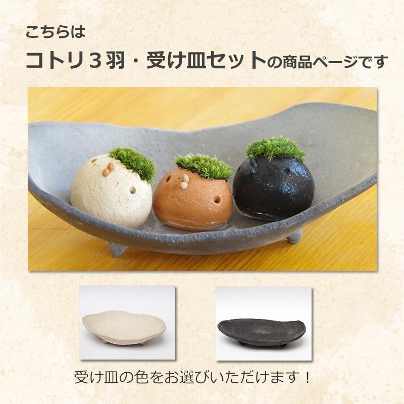 ネイタルデザインのセットモスコケズルミヤビ　レトロストライプ 苔 コケテラリウム モスモス 真山茜 モスコトリ 3羽 選べる受け皿