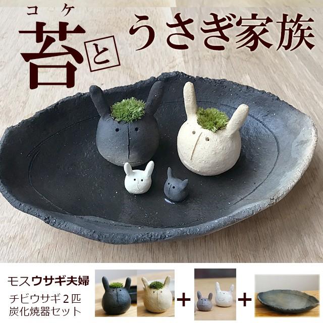 苔 コケテラリウム モスモス 真山茜 モスウサギ夫婦 チビウサギ2匹