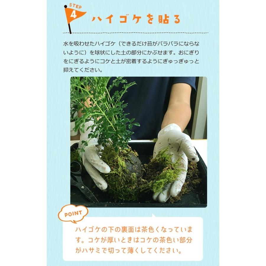 苔玉キット 苔玉教室講師がお届け 苔玉作成 苔玉 こけだま こけ コケ 苔 ハンドメイド キット 苔玉づくり 初心者｜midoriyanicogusa｜09