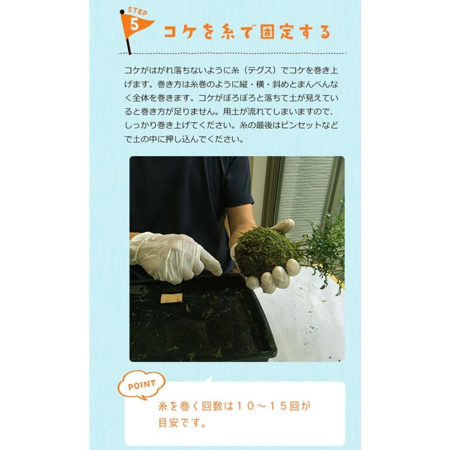 苔玉キット 苔玉教室講師がお届け 苔玉作成 苔玉 こけだま こけ コケ 苔 ハンドメイド キット 苔玉づくり 初心者｜midoriyanicogusa｜10