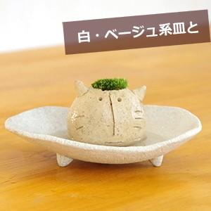 苔 コケ かわいい 真山茜 モスモス モスネコ 受け皿セット mosmos 益子 陶芸家 観葉植物 コケテラリウム ギフト 誕生日 ネコゴケ ネコ｜midoriyanicogusa｜04