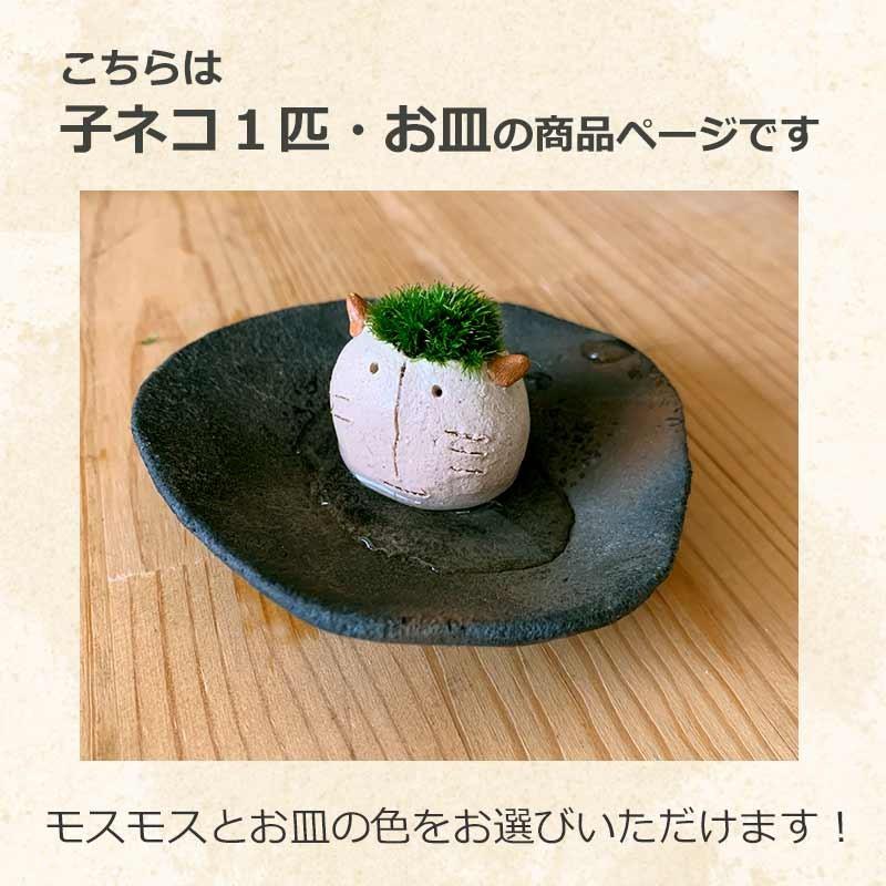 モスモス シリーズ 作家 真山茜 モス子ネコ 1匹 受け皿セット 苔 こけ