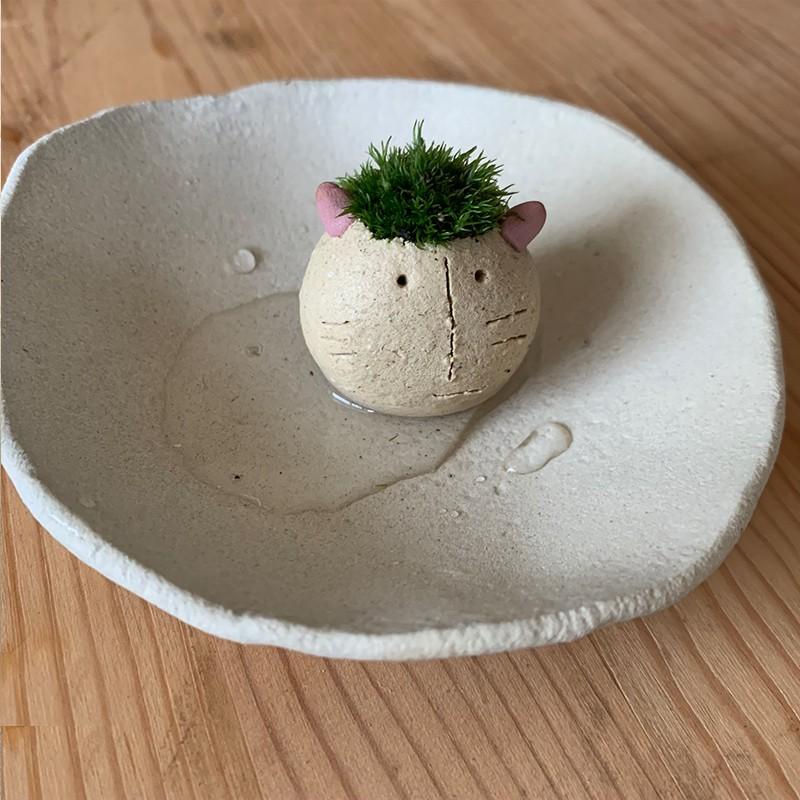 モスモス シリーズ 作家 真山茜 モス子ネコ 1匹 受け皿セット 苔 こけ