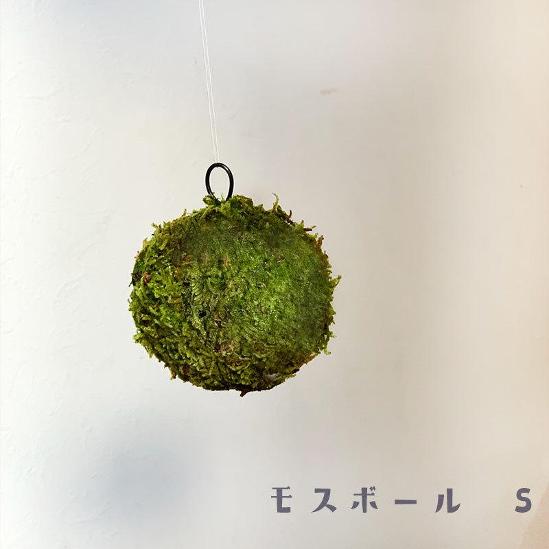 苔玉 盆栽 吊るしたり 置いたり ふんわり やさしい MOSS BALL モスボール 小サイズ S 約７〜８cm こけだま コケダマ｜midoriyanicogusa