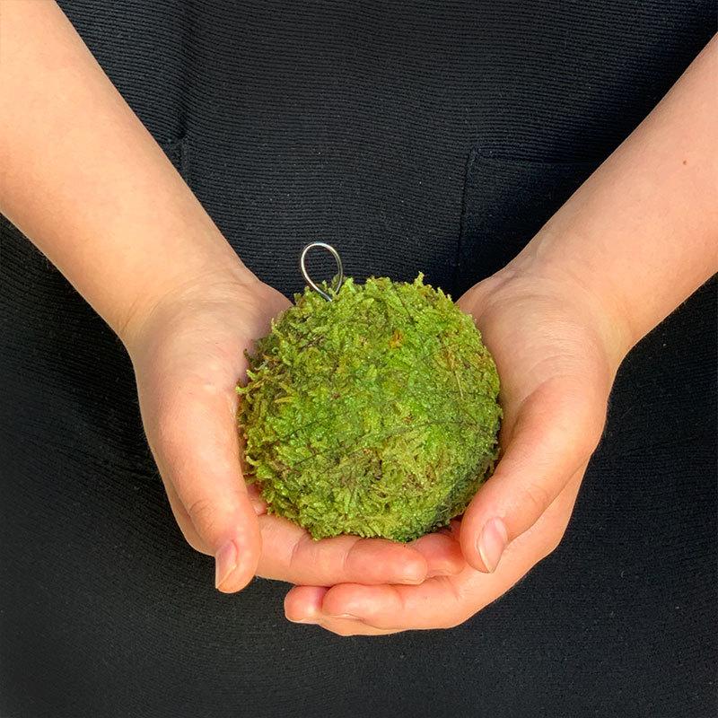 苔玉 盆栽 吊るしたり 置いたり ふんわりとやさしい苔を飾ってください Moss Ball モスボール 小サイズ 約７ ８cm Turikokedamas みどり屋 和草 にこぐさ 通販 Yahoo ショッピング