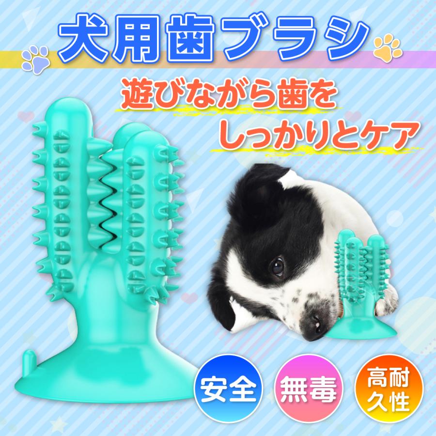 犬 噛む おもちゃ 安全 ペット 無害 歯ブラシ 口臭予防 ストレス解消 クリーニング 歯石予防 Nk 三潴堂 通販 Yahoo ショッピング