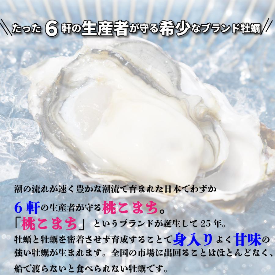 殻付き牡蠣 桃こまち カンカン焼き 50個 チープ 入り カキナイフ 片手用軍手 付き 半缶 牡蠣 浜焼き