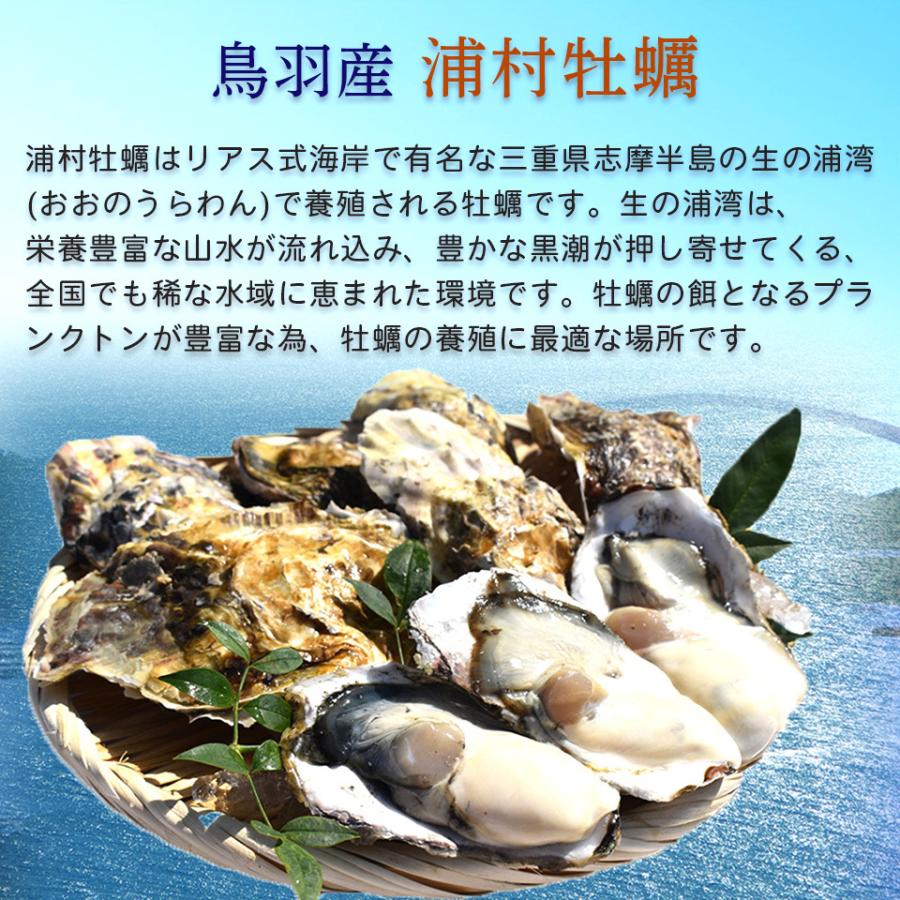 正規品新品未使用品 牡蠣 殻付き カンカン焼き 浦村産 2lサイズ 15個 軍手 ナイフ 付き 期間限定今なら送料無料