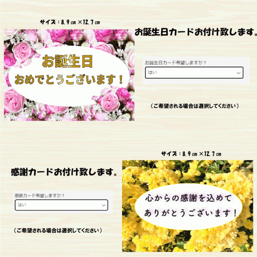 送料無料 冷凍 殻付き牡蠣 Lサイズ 30個 三重県 伊勢志摩 地区 鳥羽 桃取産 春 水揚の 桃こまち ブランド牡蠣 :101-01-06:かうKOKO - 通販 - Yahoo!ショッピング 送料無料 冷凍 殻付き牡蠣 Lサイズ 30個 三重県 伊勢志摩 地区 鳥羽 桃取産 春 水揚の 桃こまち ブランド牡蠣 :101-01-06:かうKOKO - 通販 - Yahoo!ショッピング