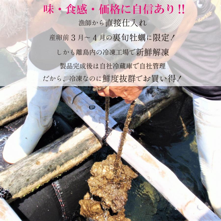 カキフライ 600g 30g 個 ２パック 牡蠣 カキ 牡蠣フライ 新作続 かき