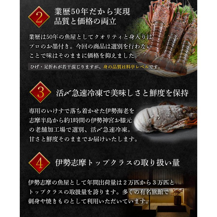 激安大特価 伊勢海老 伊勢志摩産 400g 450g 2尾 計約850g Wantannas Go Id