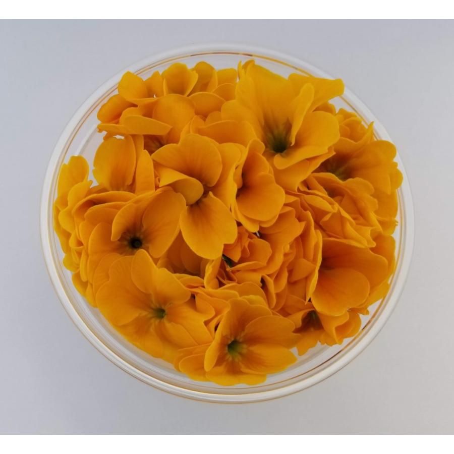 エディブルフラワー 食用 食べられるお花 ジュリアン ゴールド 人気 オススメ Juliana002 三重のお土産横丁 通販 Yahoo ショッピング