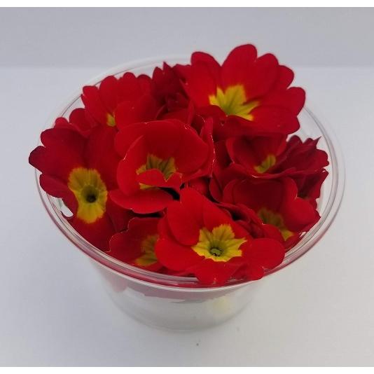 エディブルフラワー 食用 食べられるお花 ジュリアン レッド 人気 オススメ Juliana006 三重のお土産横丁 通販 Yahoo ショッピング