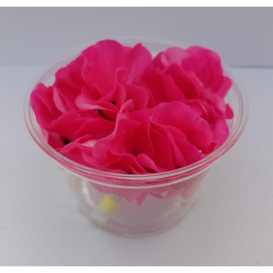 エディブルフラワー 食用花 食べられるお花 ゼラニウム ピンク Pelargonium2 三重のお土産横丁 通販 Yahoo ショッピング