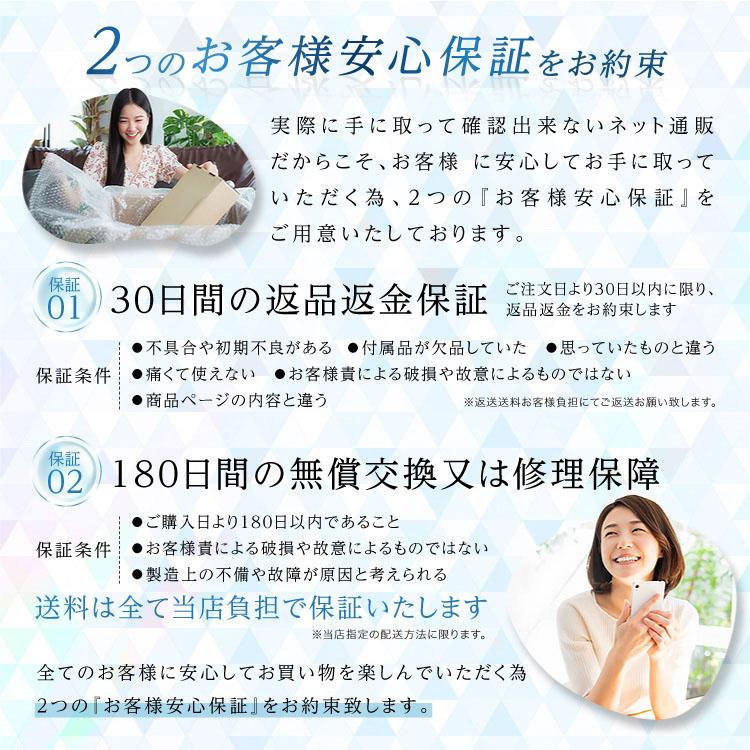 (10%OFFクーポン有) 口腔洗浄器 歯垢除去 ジェットウォッシャー タンクレス (現役歯科医師監修) 歯間洗浄機 コンパクト 口内洗浄機 HandyBio 第3世代 |  | 19