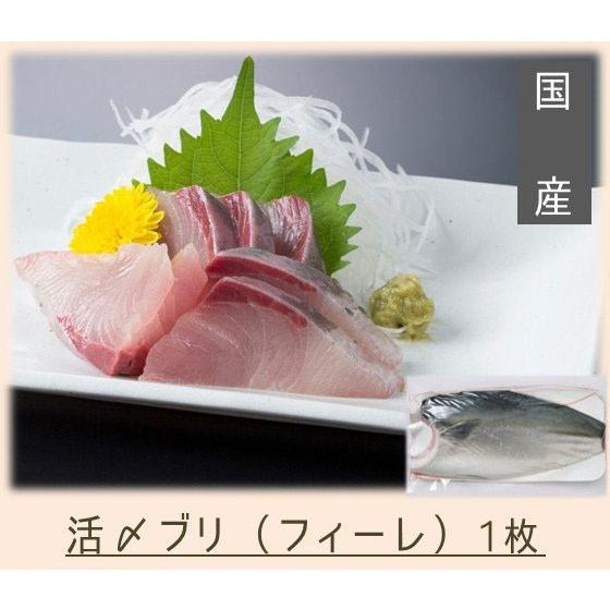 送料無料　活〆ブリ（国産）フィーレ1枚（原魚約4kg）　鰤　ぶり　｜miegyoren