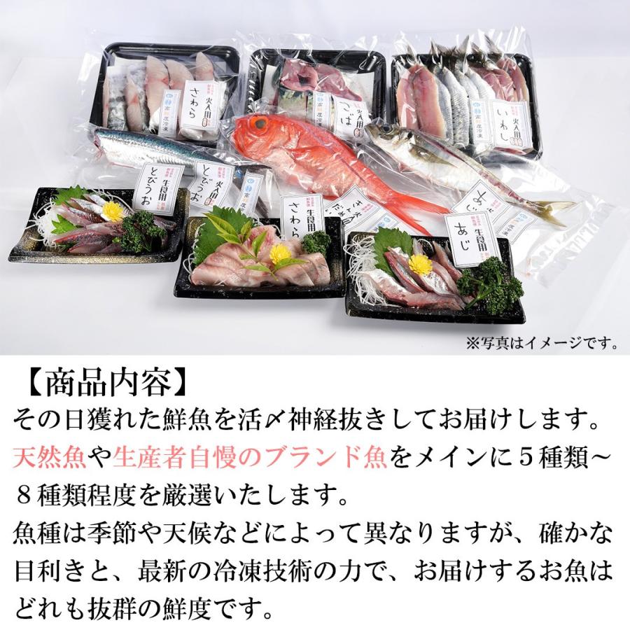 鮮魚 産地直送 品質検査済 魚 新商品 老舗魚問屋のお魚お手軽セット
