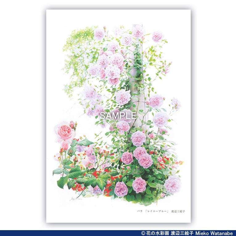 渡辺三絵子 花の水彩画 ポストカード12枚セット |  | 10