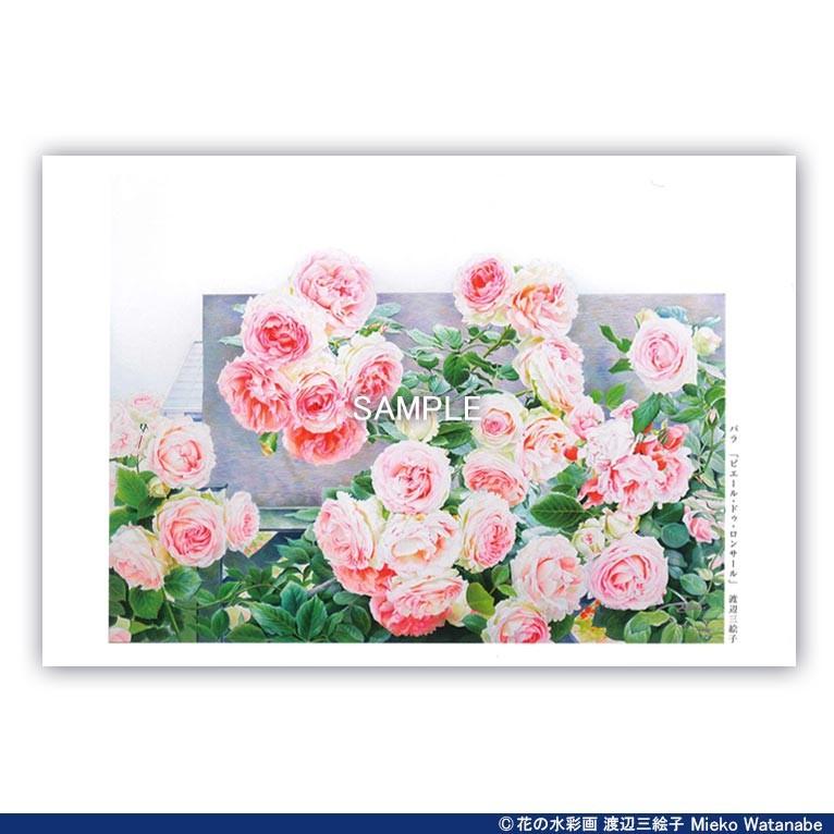 渡辺三絵子 花の水彩画 ポストカード12枚セット |  | 03