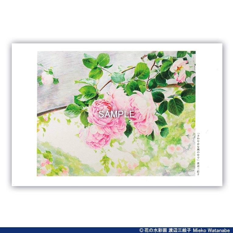 渡辺三絵子 花の水彩画 ポストカード12枚セット |  | 04