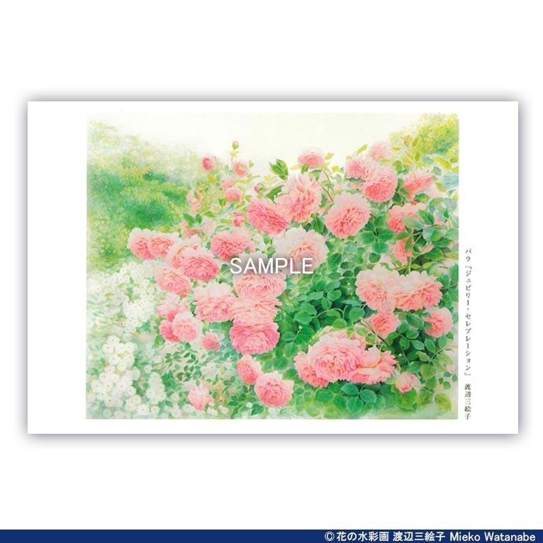 版画「花のメロディ」 渡辺三絵子 花の水彩画 ポストカード12枚セット : 渡辺三絵子 花